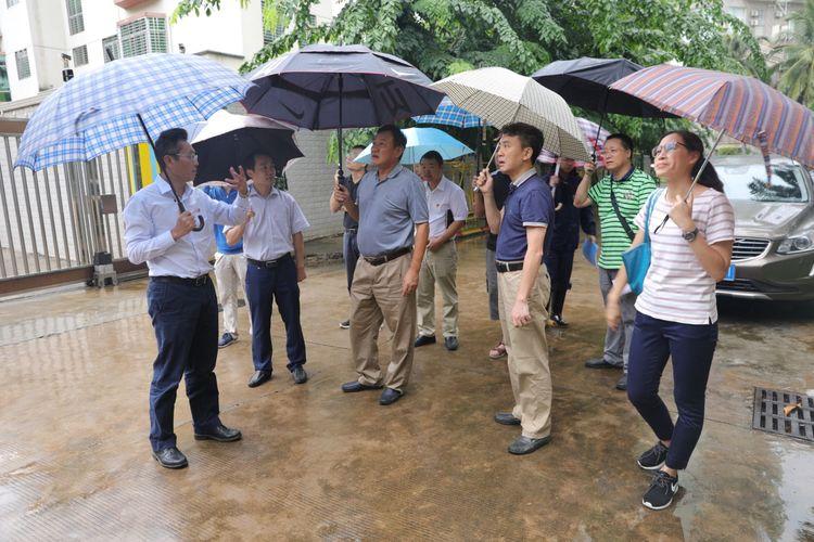 海口市委原常委鞠磊被开除党籍，一个能人的坠落轨迹